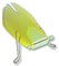 cigale-lampe
